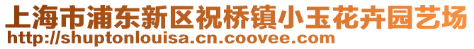 上海市浦東新區(qū)祝橋鎮(zhèn)小玉花卉園藝場