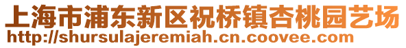 上海市浦東新區祝橋鎮杏桃園藝場