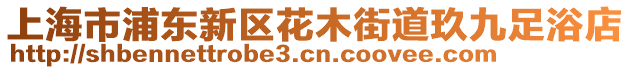 上海市浦東新區(qū)花木街道玖九足浴店