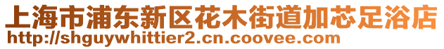 上海市浦東新區(qū)花木街道加芯足浴店