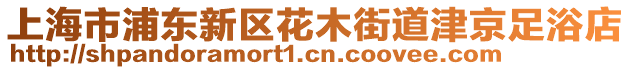 上海市浦東新區花木街道津京足浴店