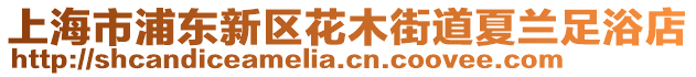 上海市浦東新區花木街道夏蘭足浴店