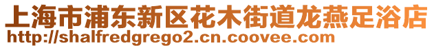 上海市浦東新區花木街道龍燕足浴店