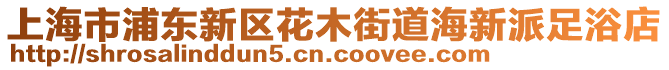 上海市浦東新區花木街道海新派足浴店