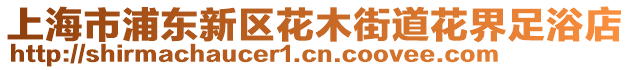 上海市浦東新區(qū)花木街道花界足浴店