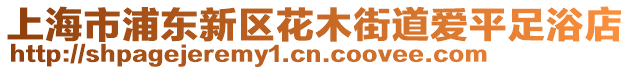 上海市浦東新區花木街道愛平足浴店