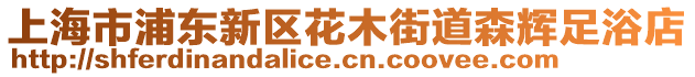 上海市浦東新區(qū)花木街道森輝足浴店
