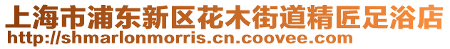 上海市浦東新區(qū)花木街道精匠足浴店