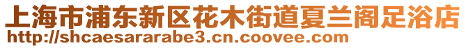 上海市浦東新區花木街道夏蘭閣足浴店