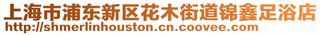 上海市浦東新區花木街道錦鑫足浴店