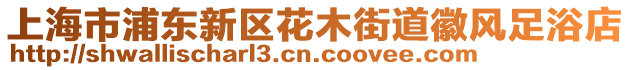 上海市浦東新區(qū)花木街道徽風(fēng)足浴店