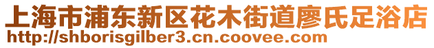 上海市浦東新區(qū)花木街道廖氏足浴店