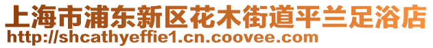 上海市浦東新區(qū)花木街道平蘭足浴店