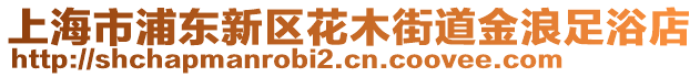 上海市浦東新區(qū)花木街道金浪足浴店
