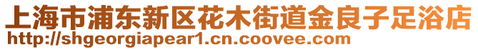 上海市浦東新區(qū)花木街道金良子足浴店