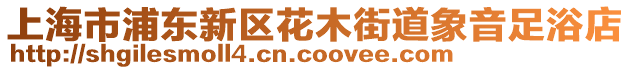 上海市浦東新區花木街道象音足浴店