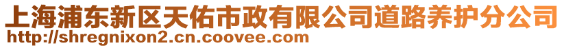 上海浦東新區天佑市政有限公司道路養護分公司