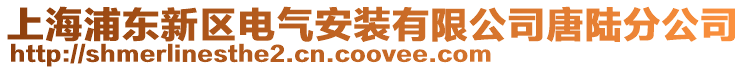 上海浦東新區電氣安裝有限公司唐陸分公司