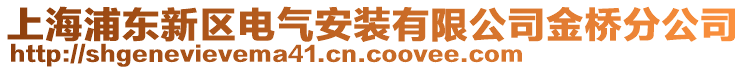 上海浦東新區電氣安裝有限公司金橋分公司