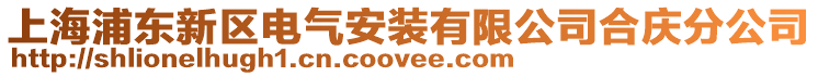 上海浦東新區電氣安裝有限公司合慶分公司