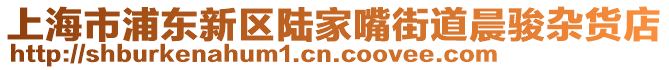 上海市浦東新區陸家嘴街道晨駿雜貨店