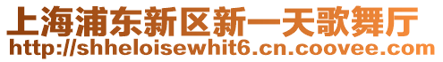 上海浦東新區(qū)新一天歌舞廳