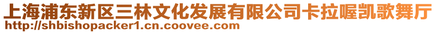 上海浦東新區三林文化發展有限公司卡拉喔凱歌舞廳