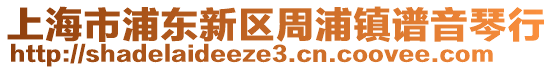 上海市浦東新區(qū)周浦鎮(zhèn)譜音琴行