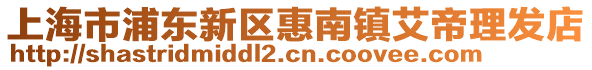上海市浦東新區惠南鎮艾帝理發店