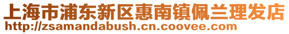 上海市浦東新區惠南鎮佩蘭理發店