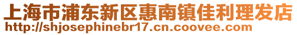 上海市浦東新區惠南鎮佳利理發店
