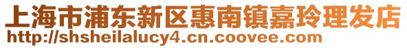 上海市浦東新區(qū)惠南鎮(zhèn)嘉玲理發(fā)店