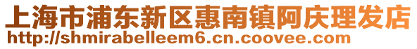 上海市浦東新區(qū)惠南鎮(zhèn)阿慶理發(fā)店