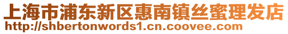 上海市浦東新區惠南鎮絲蜜理發店