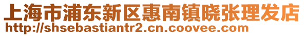 上海市浦東新區惠南鎮曉張理發店