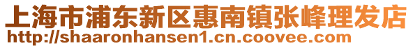 上海市浦東新區惠南鎮張峰理發店