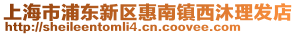 上海市浦東新區惠南鎮西沐理發店