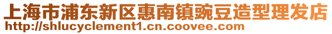 上海市浦東新區(qū)惠南鎮(zhèn)豌豆造型理發(fā)店