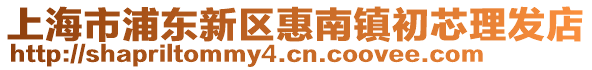 上海市浦東新區惠南鎮初芯理發店