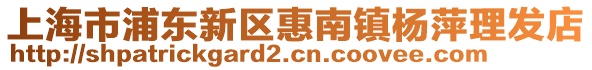 上海市浦東新區惠南鎮楊萍理發店
