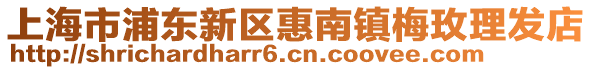 上海市浦東新區(qū)惠南鎮(zhèn)梅玫理發(fā)店