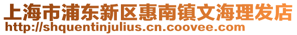 上海市浦東新區惠南鎮文海理發店