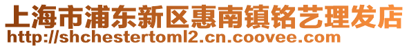 上海市浦東新區惠南鎮銘藝理發店