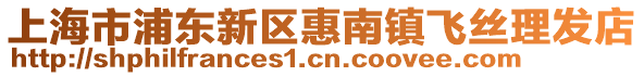 上海市浦東新區惠南鎮飛絲理發店