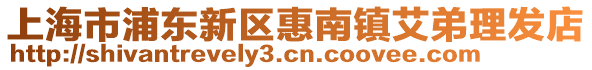 上海市浦東新區(qū)惠南鎮(zhèn)艾弟理發(fā)店