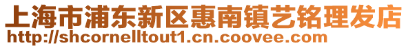 上海市浦東新區(qū)惠南鎮(zhèn)藝銘理發(fā)店