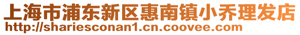 上海市浦東新區惠南鎮小喬理發店