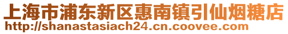 上海市浦東新區(qū)惠南鎮(zhèn)引仙煙糖店