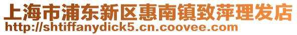 上海市浦東新區惠南鎮致萍理發店