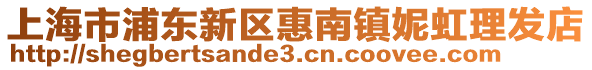 上海市浦東新區惠南鎮妮虹理發店